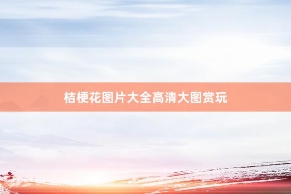 桔梗花图片大全高清大图赏玩