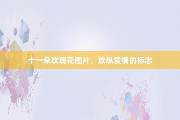 十一朵玫瑰花图片,放纵爱情的标志