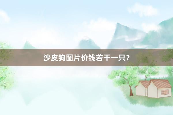 沙皮狗图片价钱若干一只?